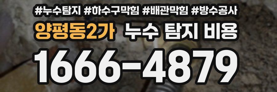 양평동2가 누수 탐지 비용