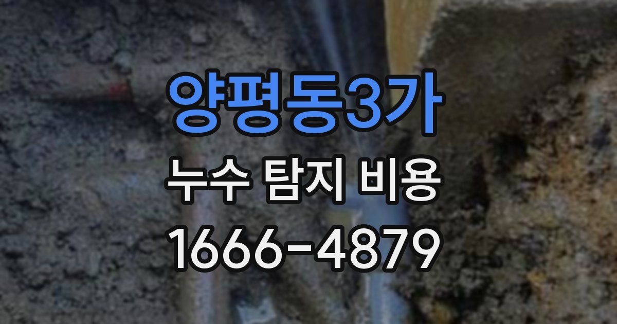 양평동3가 누수 탐지 비용