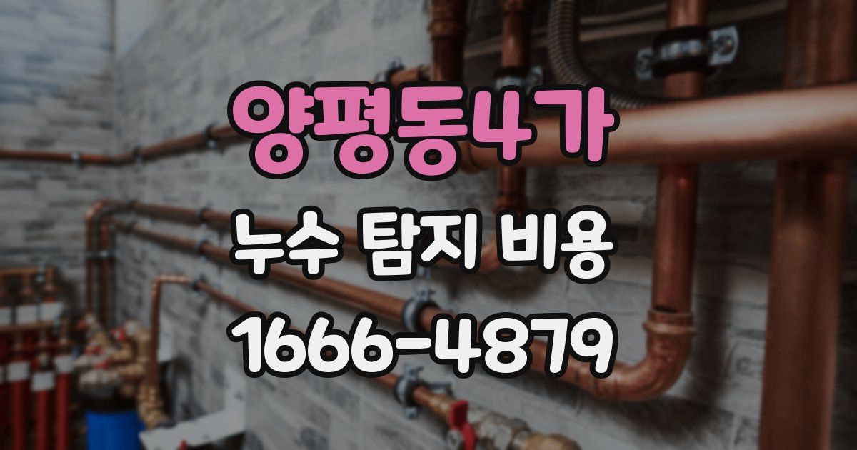 양평동4가 누수 탐지 비용
