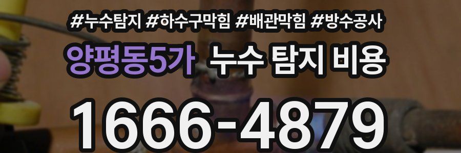 양평동5가 누수 탐지 비용