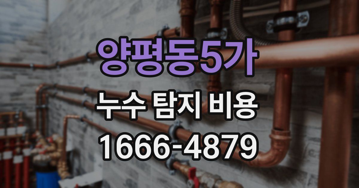 양평동5가 누수 탐지 비용