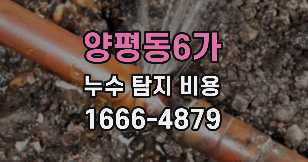 양평동6가 누수 탐지 비용