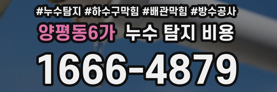 양평동6가 누수 탐지 비용