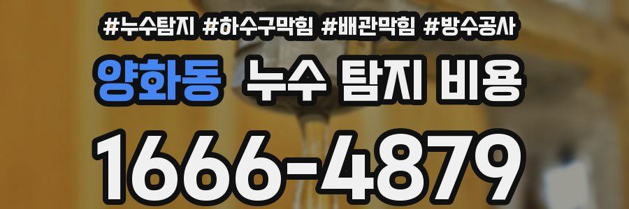 양화동 누수 탐지 비용
