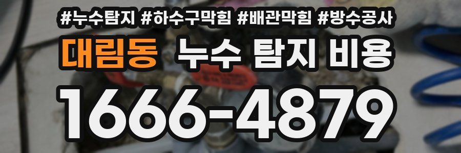 대림동 누수 탐지 비용