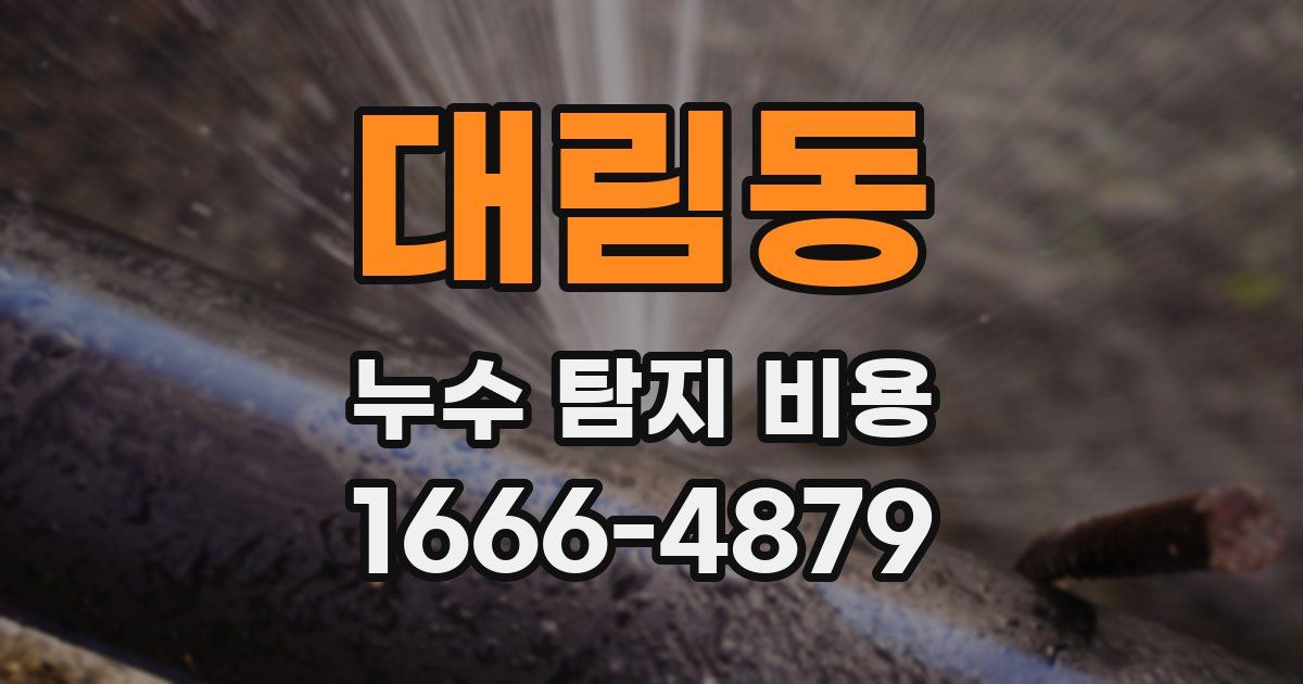 대림동 누수 탐지 비용