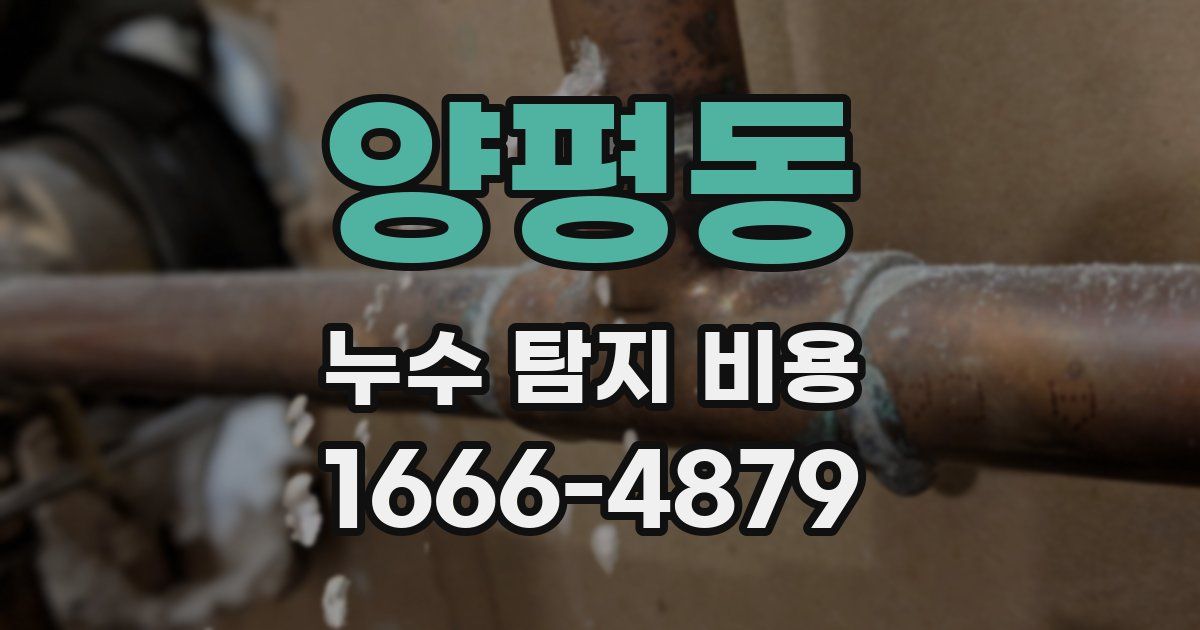 양평동 누수 탐지 비용