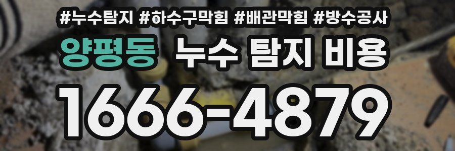 양평동 누수 탐지 비용