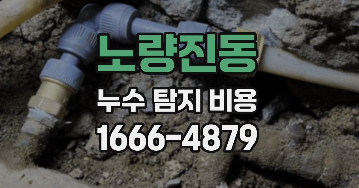노량진동 누수 탐지 비용