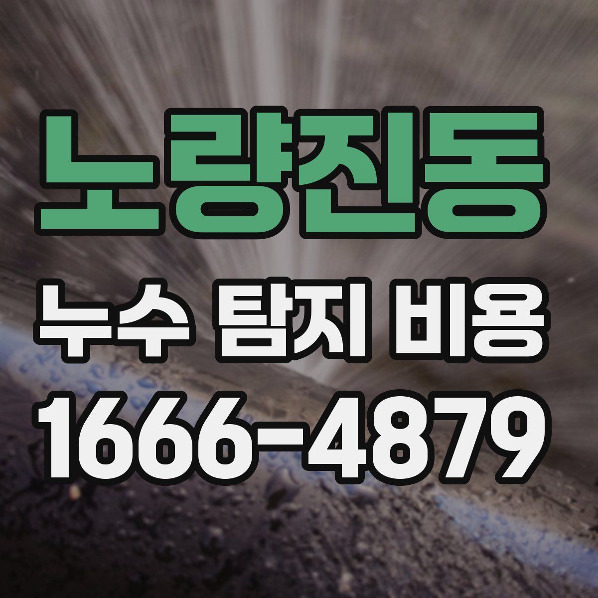 노량진동 누수 탐지 비용