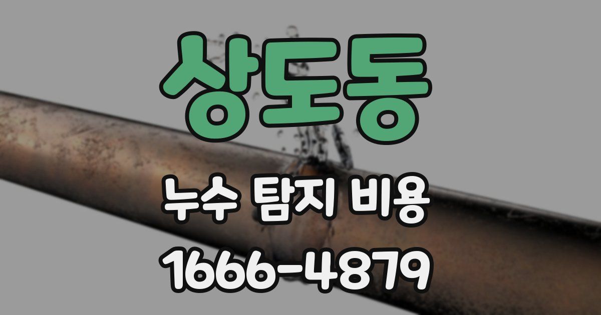 상도동 누수 탐지 비용