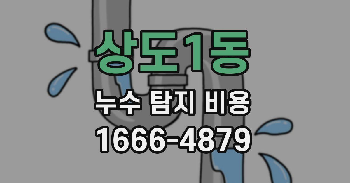상도1동 누수 탐지 비용
