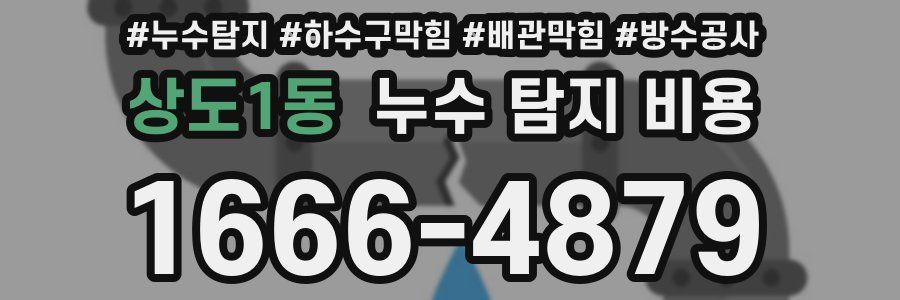 상도1동 누수 탐지 비용