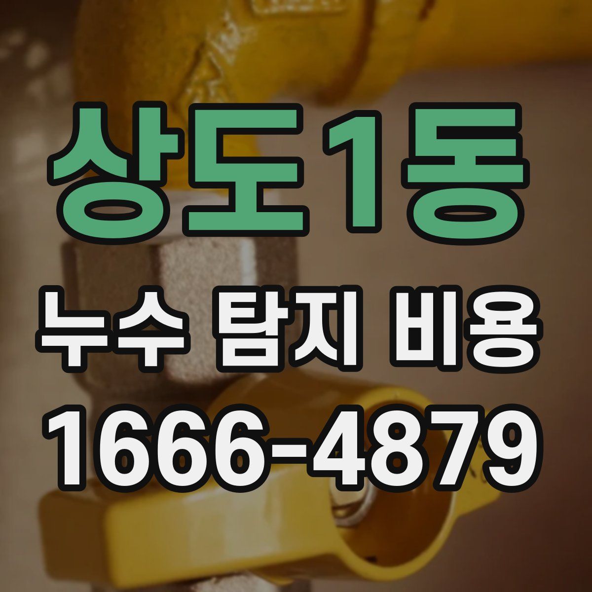상도1동 누수 탐지 비용