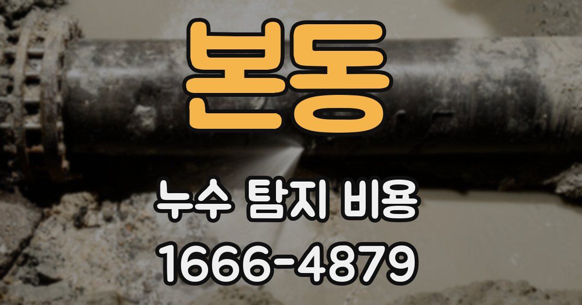 본동 누수 탐지 비용