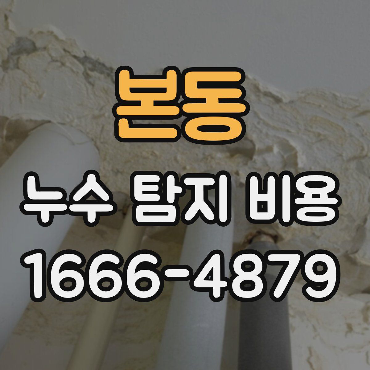 본동 누수 탐지 비용