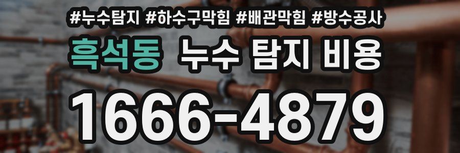 흑석동 누수 탐지 비용