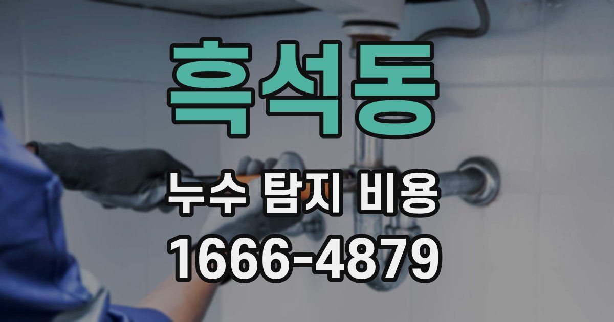흑석동 누수 탐지 비용