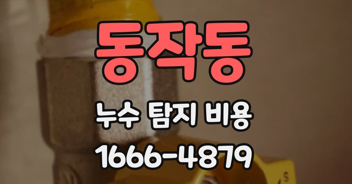 동작동 누수 탐지 비용