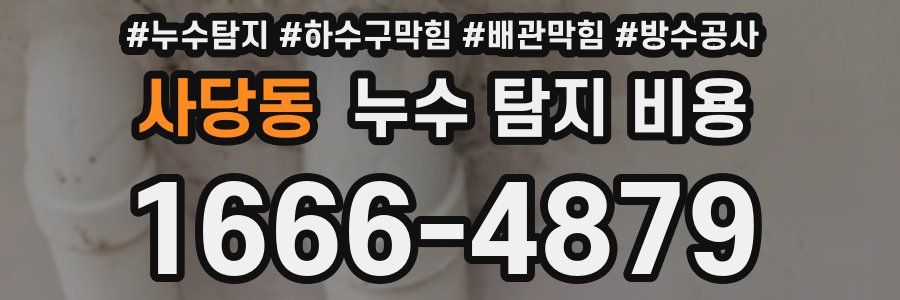 사당동 누수 탐지 비용