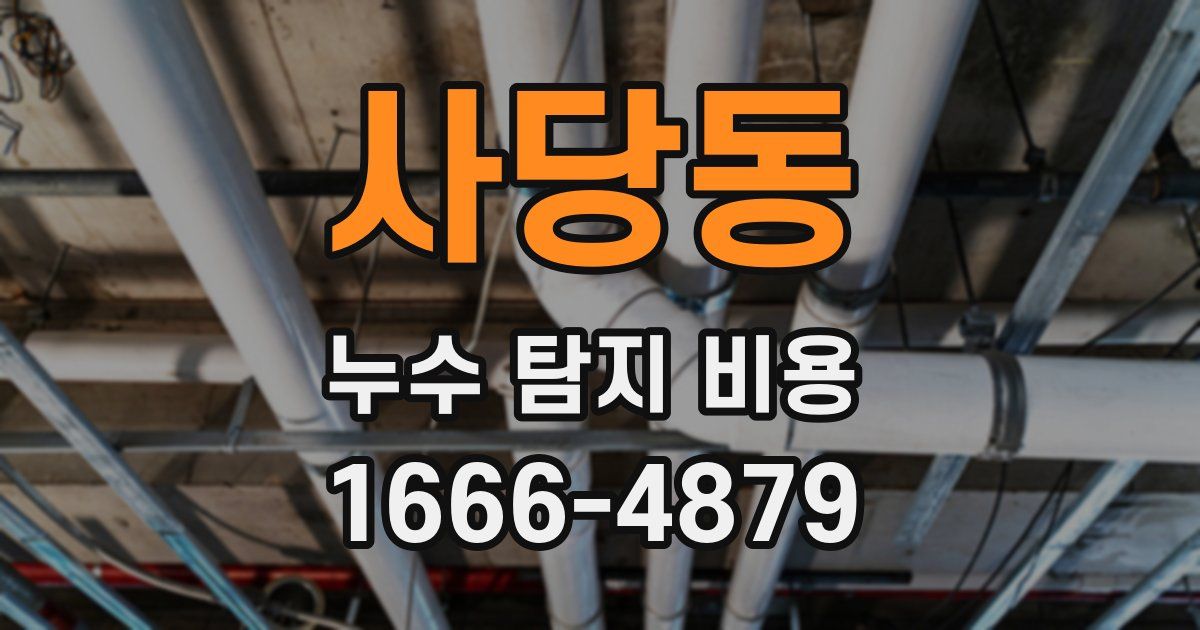 사당동 누수 탐지 비용