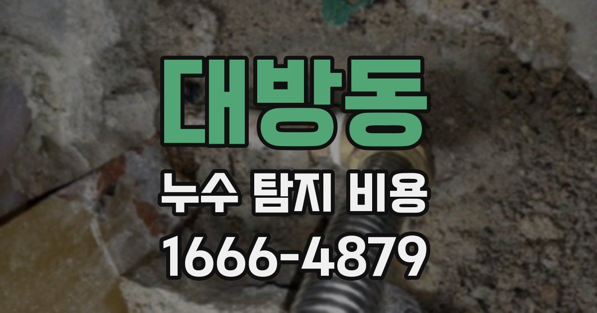 대방동 누수 탐지 비용