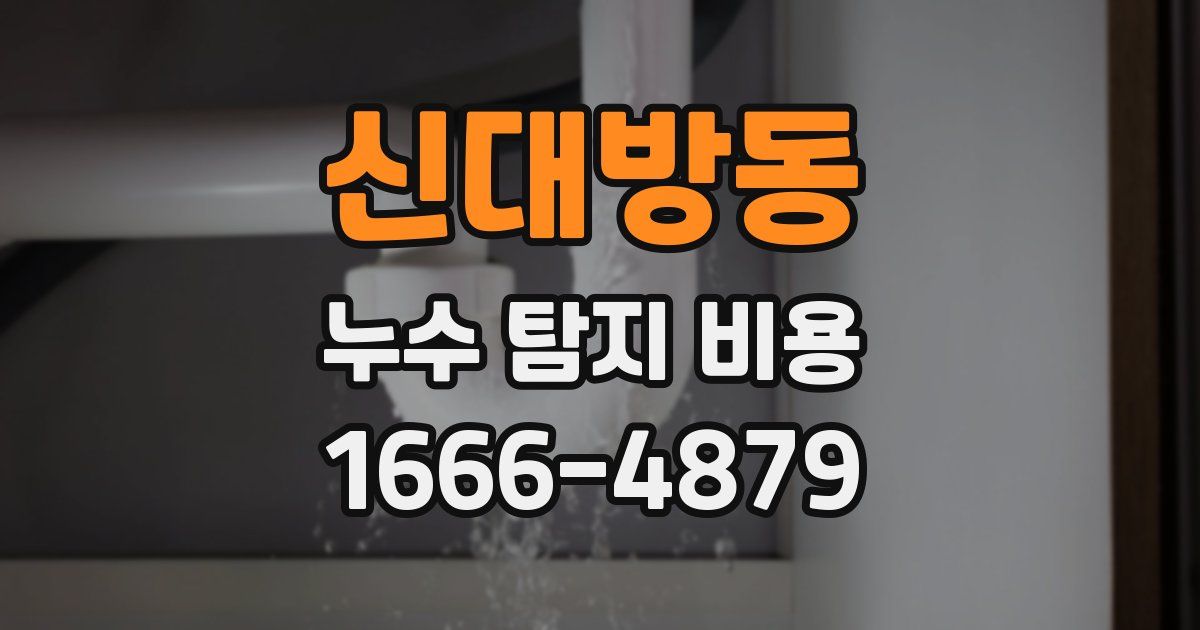 신대방동 누수 탐지 비용
