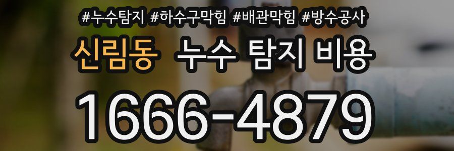 신림동 누수 탐지 비용