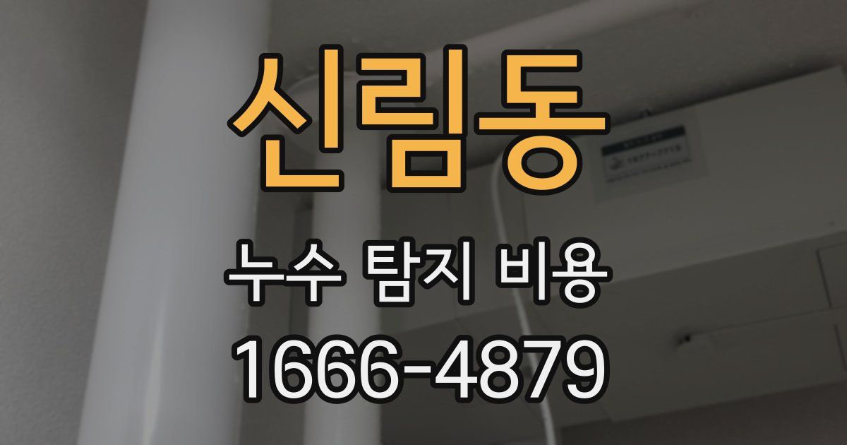 신림동 누수 탐지 비용