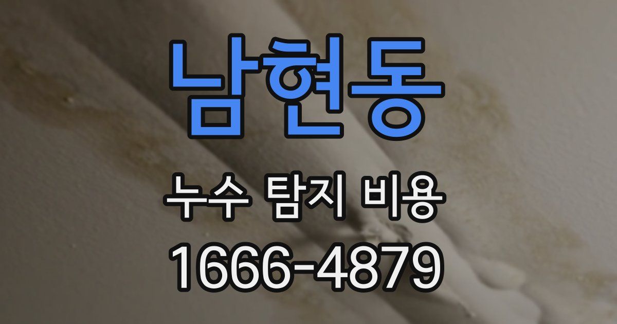 남현동 누수 탐지 비용