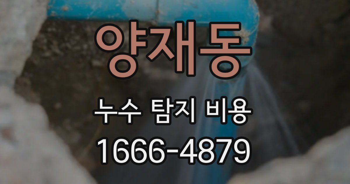 양재동 누수 탐지 비용