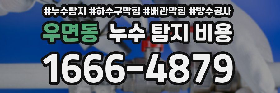 우면동 누수 탐지 비용
