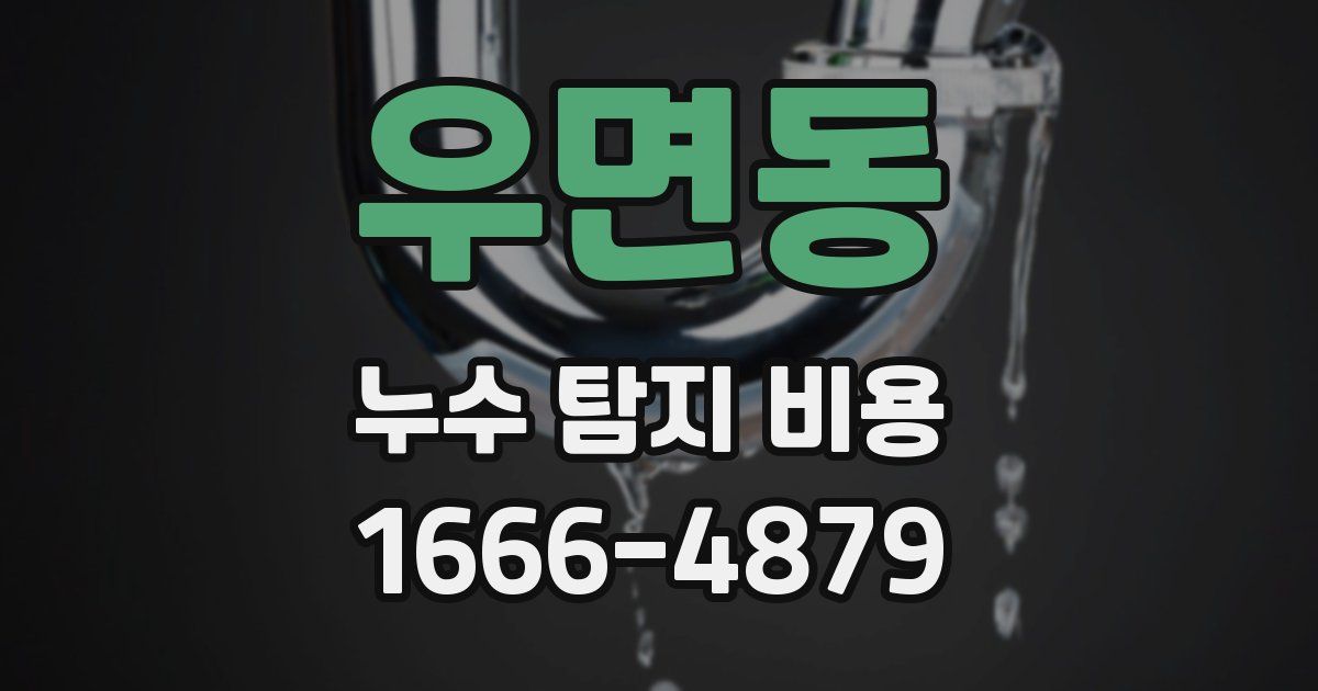 우면동 누수 탐지 비용