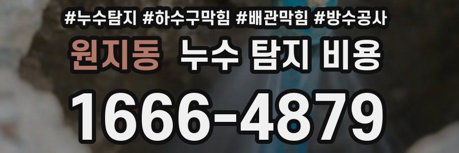 원지동 누수 탐지 비용