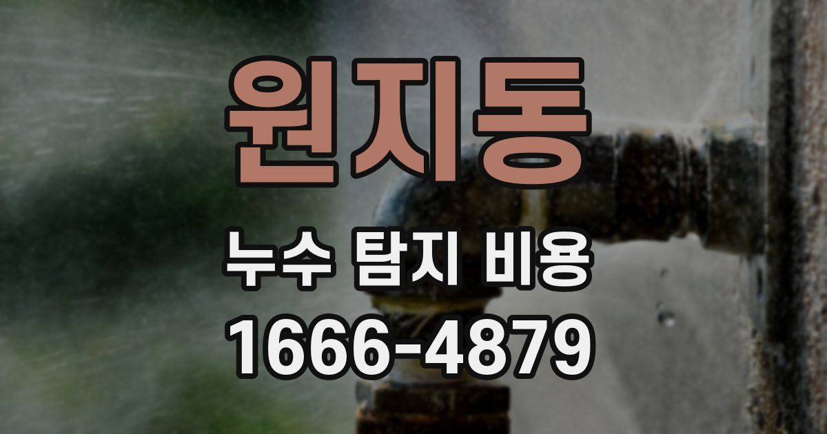 원지동 누수 탐지 비용