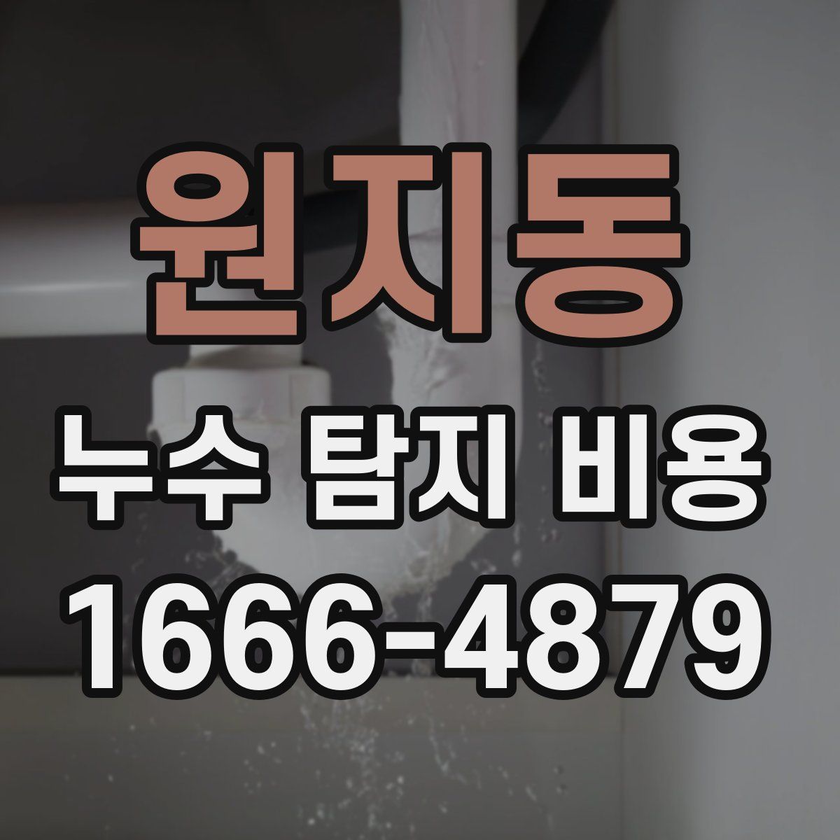 원지동 누수 탐지 비용