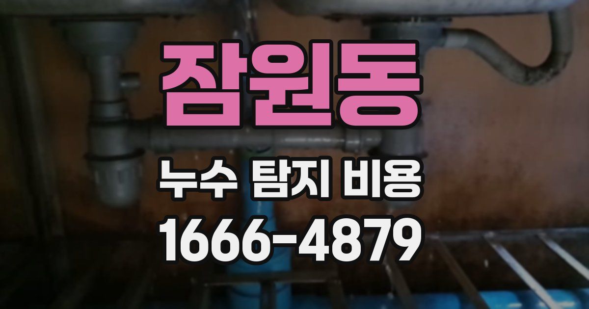 잠원동 누수 탐지 비용