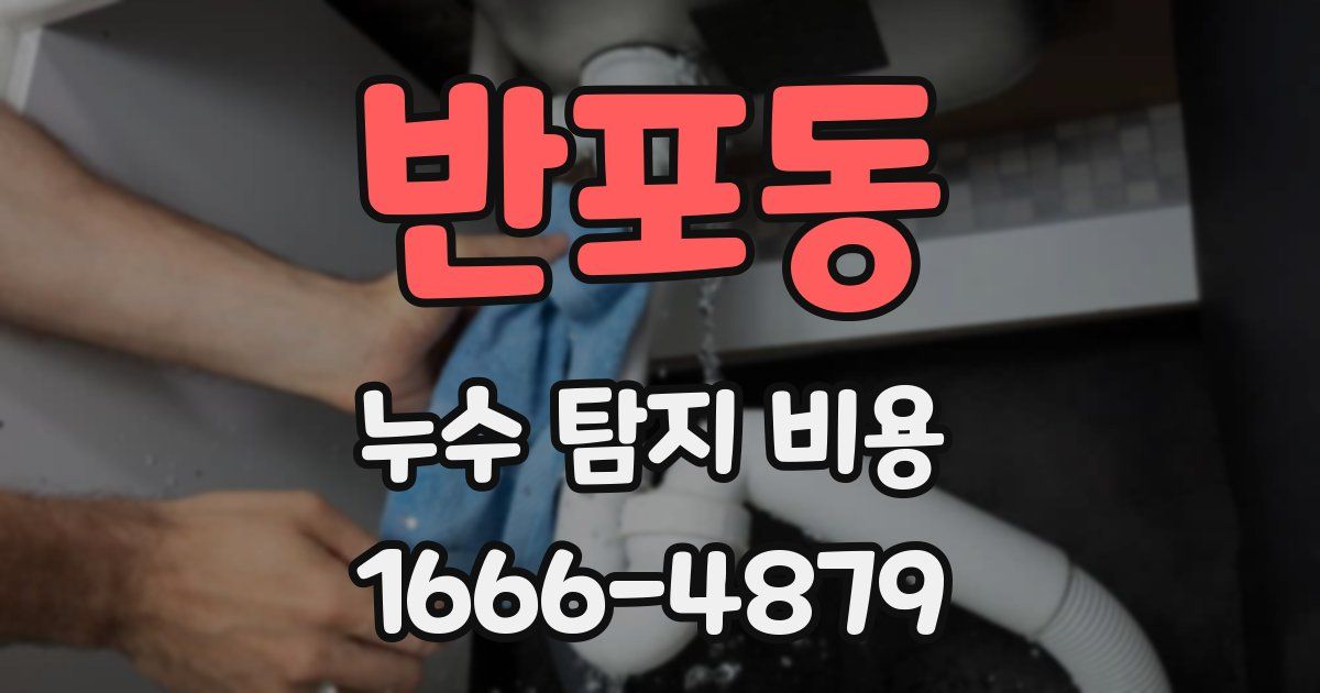 반포동 누수 탐지 비용
