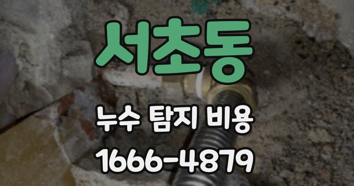 서초동 누수 탐지 비용