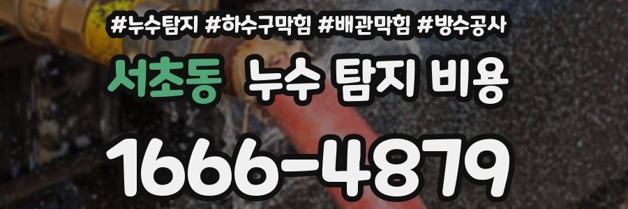 서초동 누수 탐지 비용
