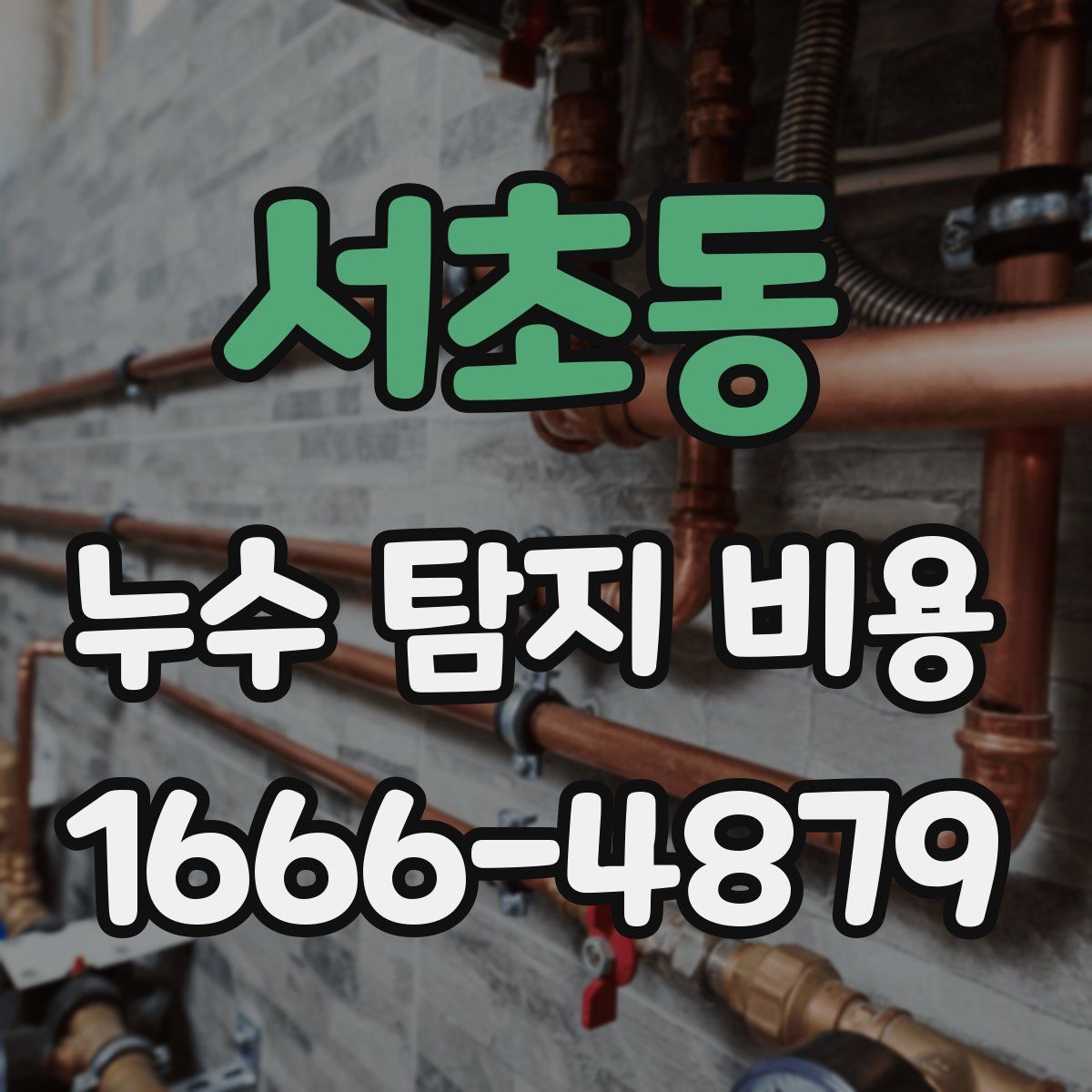 서초동 누수 탐지 비용