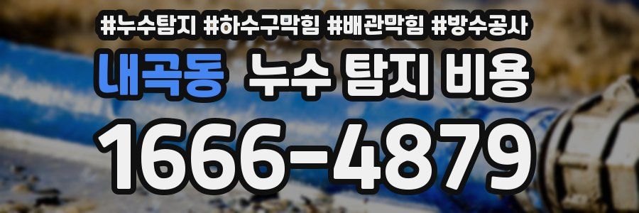 내곡동 누수 탐지 비용
