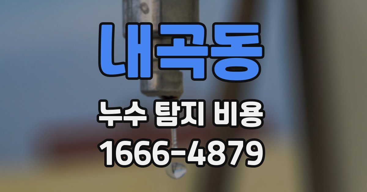 내곡동 누수 탐지 비용