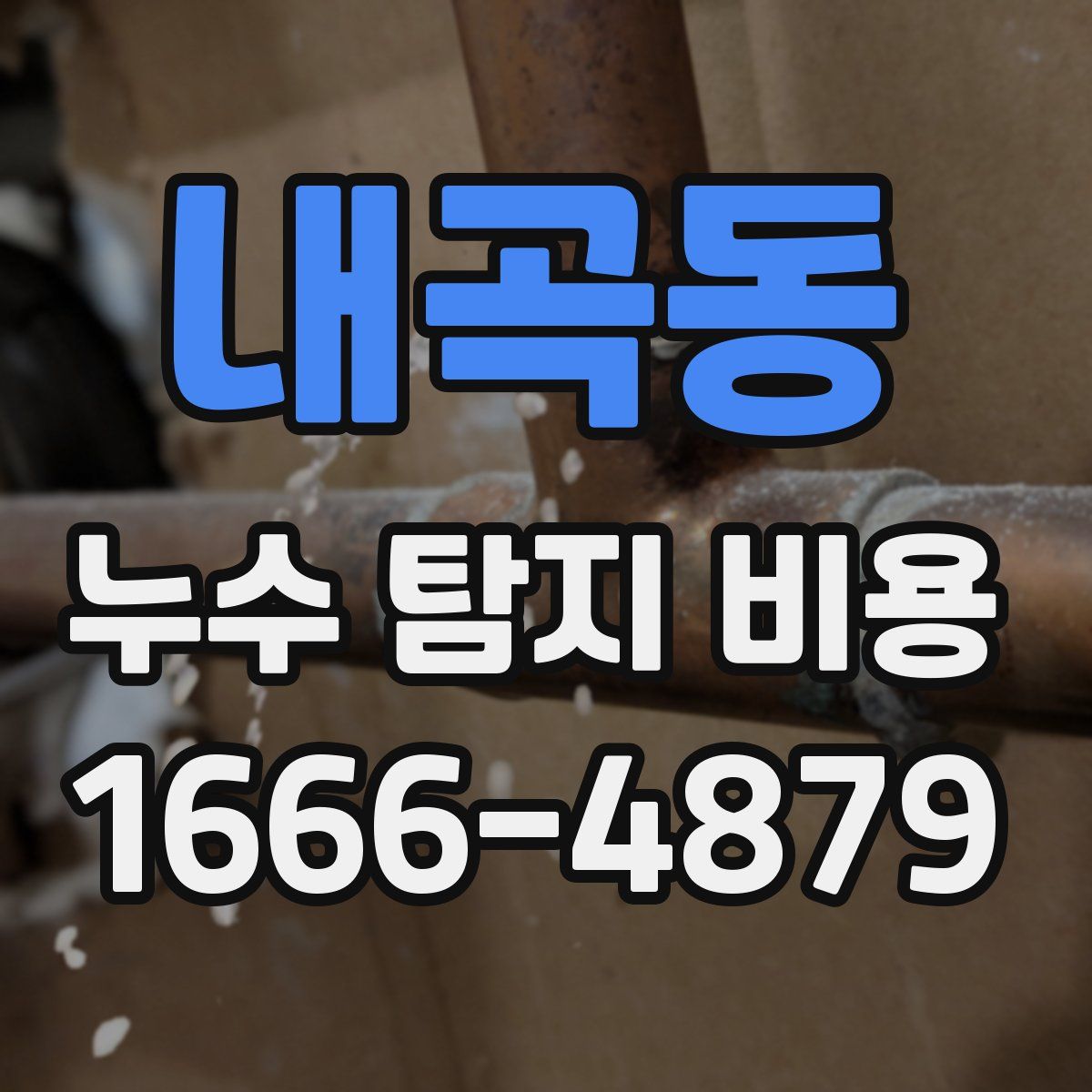 내곡동 누수 탐지 비용