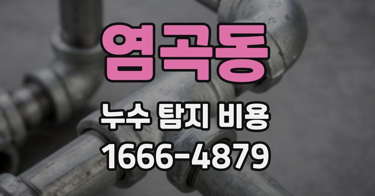 염곡동 누수 탐지 비용