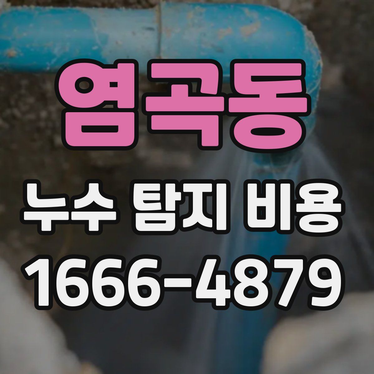 염곡동 누수 탐지 비용