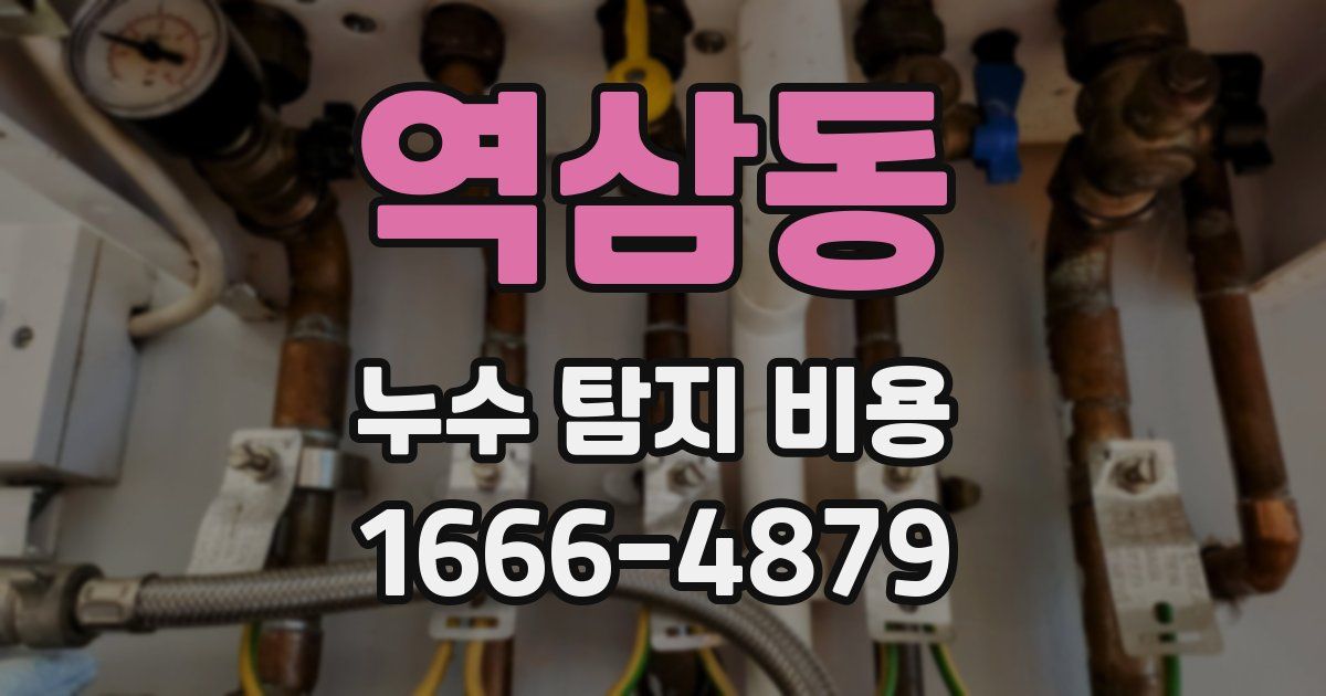 역삼동 누수 탐지 비용