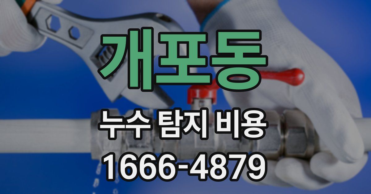 개포동 누수 탐지 비용