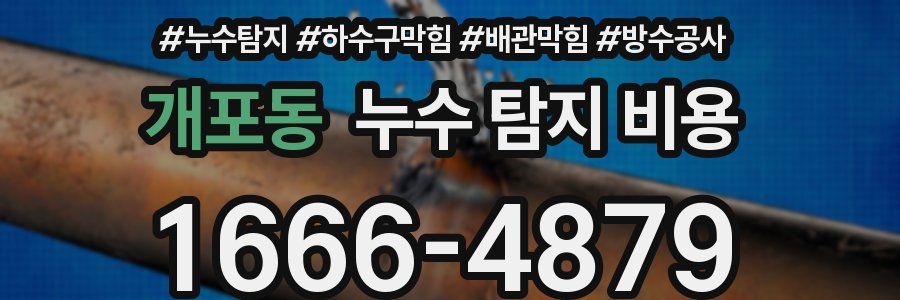 개포동 누수 탐지 비용