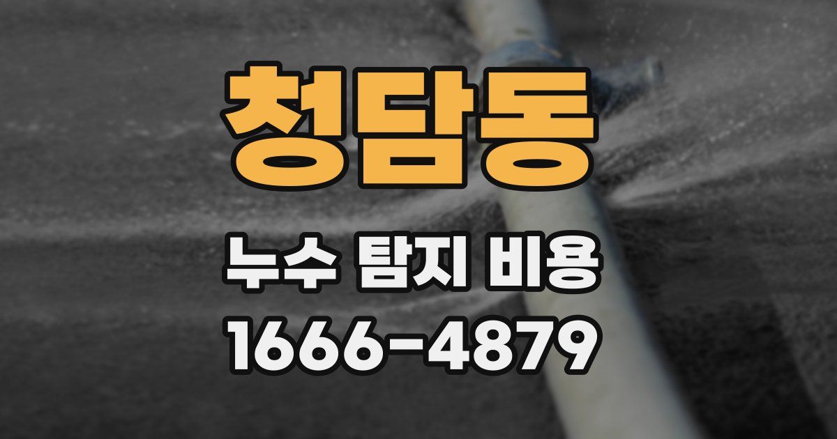 청담동 누수 탐지 비용
